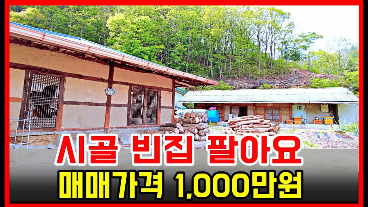 시골 빈집 매매가 1천만원 시골집 촌집 실화 가격! #그린대로 #빈집은행 #귀농 #귀촌 #귀농귀촌 #착한부동산