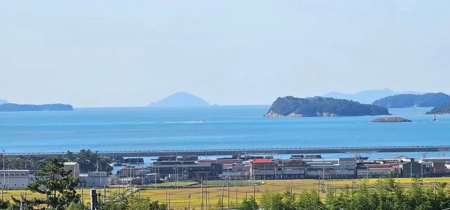 전남 고흥 시골집 매매 - 바다 조망, 11162평 대지, 귀농/귀촌 최적