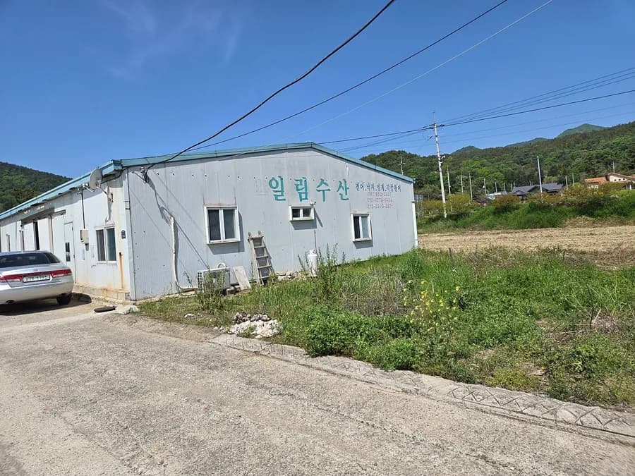 전남 보성 토지 매매 - 바다 앞, 1억 7천 (조정 가능)
