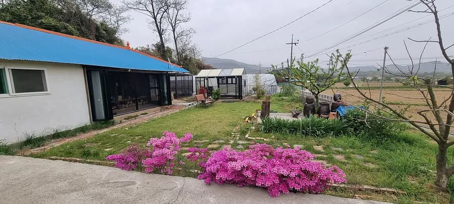 충남 보령 시골집 매매 - 정겨운 이웃과 포근한 햇살