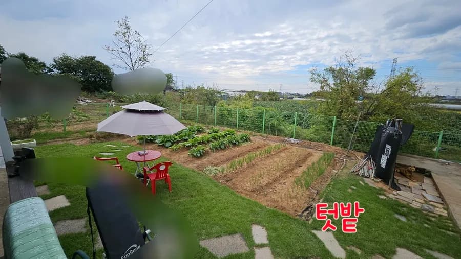 경기 평택 시골집 매매 - 넓은 토지, 조용한 전원생활