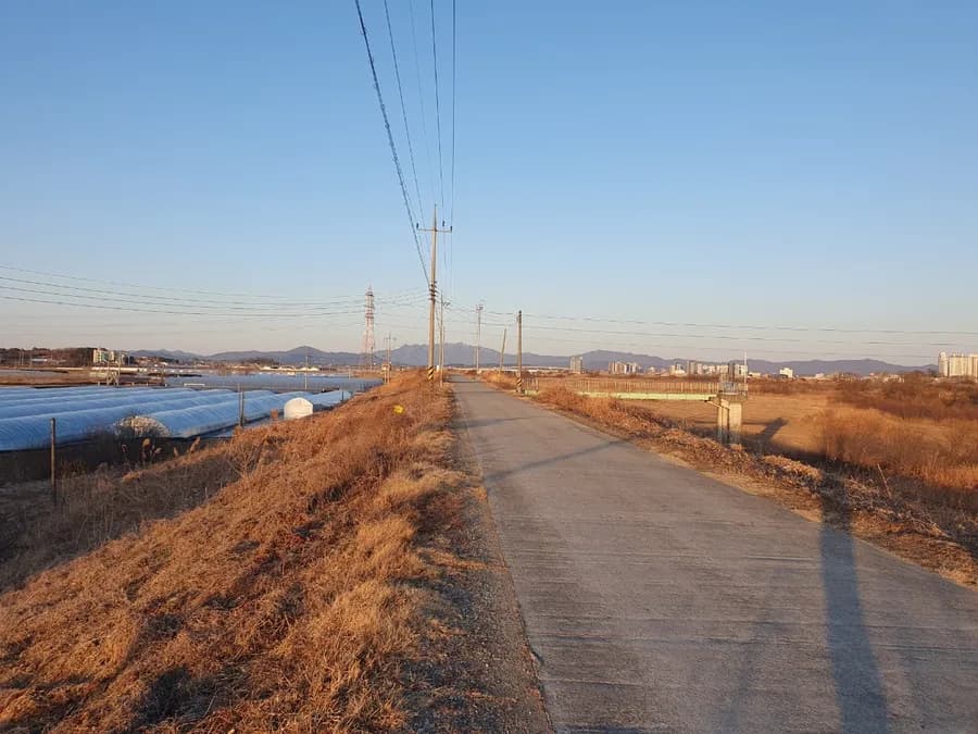 충남 논산 시골집 매매 - 4500만원, 155평 토지