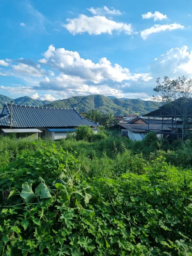 경북 고령 시골집 임대 - 산 좋고 물 좋은 힐링 공간
