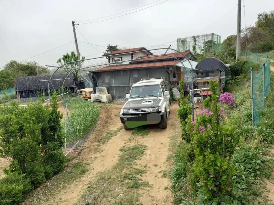 경기 안성 시골집 매매 - 텃밭과 닭, 양봉 가능한 힐링 공간