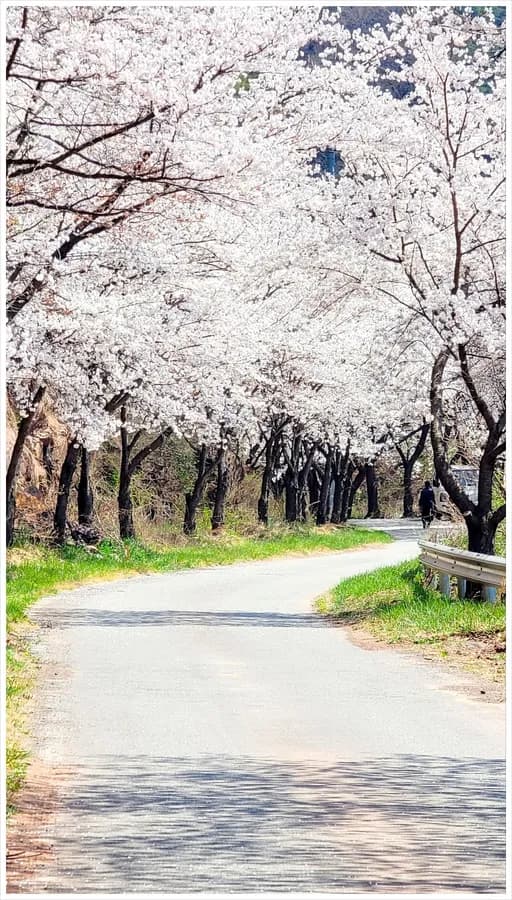 경북 영양 전원주택 매매 - 텃밭과 구들방, 귀촌 최적