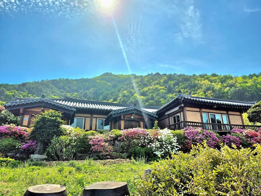 강원 강릉 강원 강릉 전원주택 매매 - 백두대간 파노라마 뷰 대표 사진