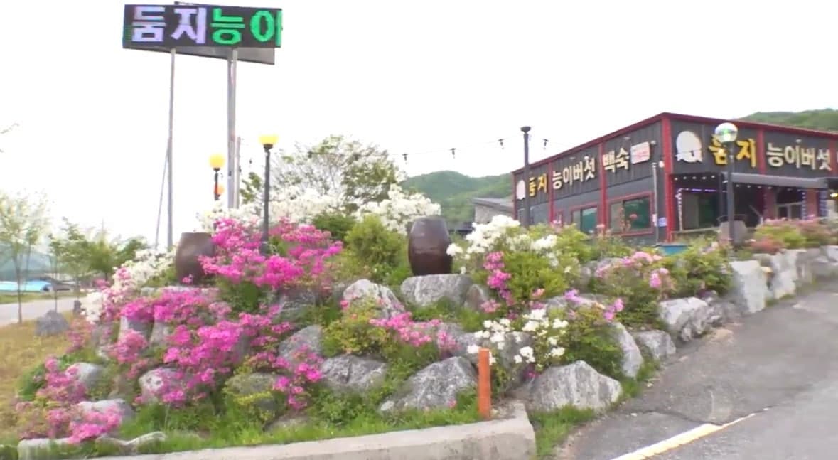 강원 철원군 서면 시골집 전경 및 식당