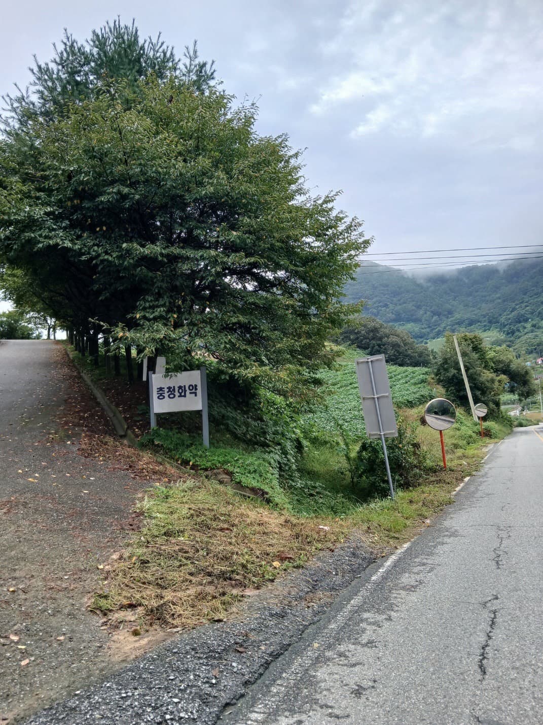 충북 충주 토지 매매 - 4,000평 대규모 부지, 펜션 사업 추천