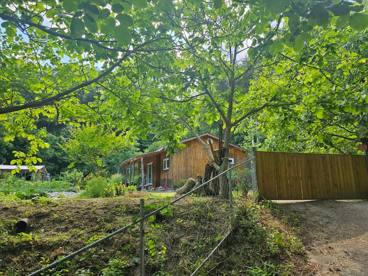 경북 김천 전원주택 매매 - 산자락 아래 독립적인 두 채의 집